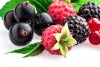 FLORIDA Fruit - Základ na rychlou výrobu ovocné zmrzliny, 2 kg