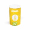 Zmrzlinová směs Ananas Fruitcub3, 1,55 kg, NOVINKA