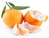 Ochucovací pasta Mandarinka Linea, 3 kg